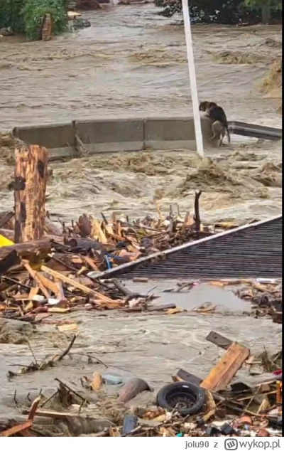 jolu90 - #powodz Ledwo wstałem i widzę coś takiego..ja p------ę....