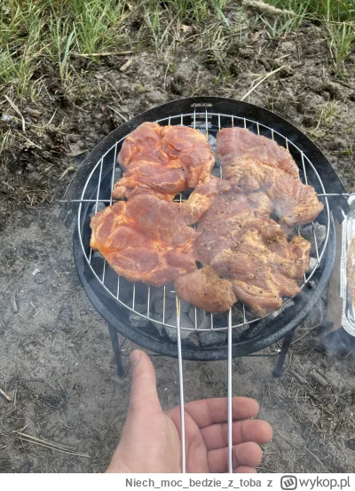 Niechmocbedzieztoba - Gril z Castoramy jest stworzony do socjalmediow. Paczka karkówk...