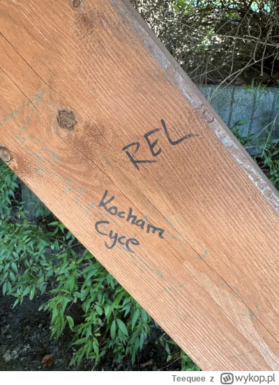 Teequee - @wybryk_natury ( ͡° ͜ʖ ͡°)