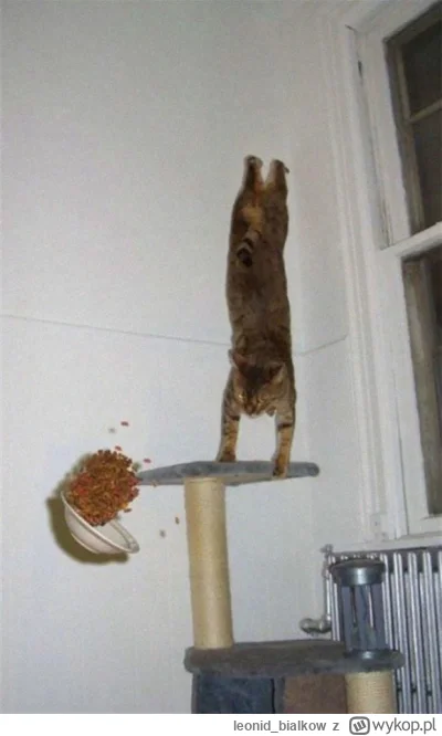 leonid_bialkow - SIUUUP