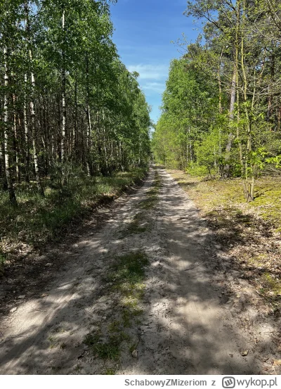 SchabowyZMizeriom - 169 306 + 42 + 7 + 12 = 169 367

Majóweczka

#rowerowyrownik #row...