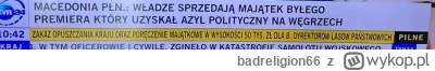 badreligion66 - #polityka Bodnarowcy wiecie co robić jakby co
