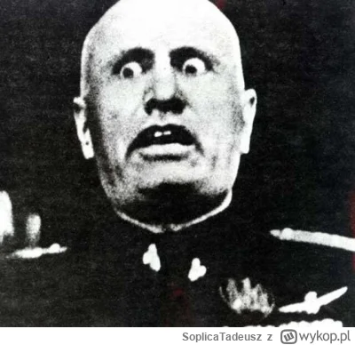 SoplicaTadeusz - @Kawazcynamonem A ten pan jaką miał szczękę?