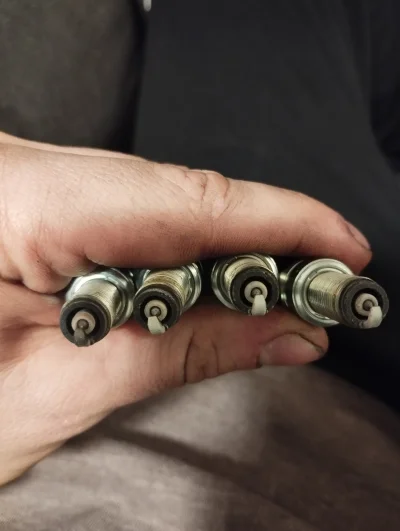 sosiwoczostkowe - @sosiwoczostkowe