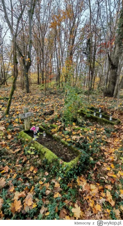 kbmocny - Już po Wszystkich Świętych, ale chciałbym pokazać cmentarz na którym leżą m...