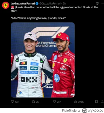 FigleMigle - #f1 lewismusisz