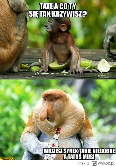 Infex - #starwars #tv #telewizja 
Disneyowska trylogia na Polascie...