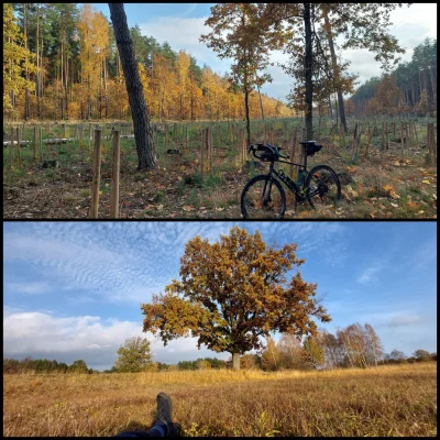 SnikerS89 - 631 285 + 122 + 53 + 102 + 49 = 631 611

-Krótsze trasy to rzeźbienie ter...