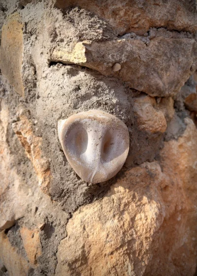 asdfghjkl - Chrum chrum ( ͡° ᴥ ͡°)