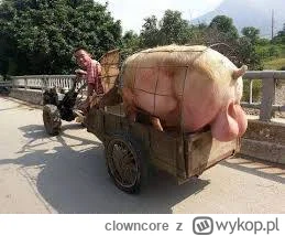 clowncore - Jqdra (oba)

#kononowicz #patostreamy