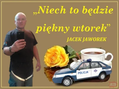 kapazgon - Dzień dobry! Miłego dzionka. (ʘ‿ʘ)