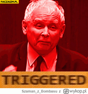 SzamanzBombasu - #polityka
