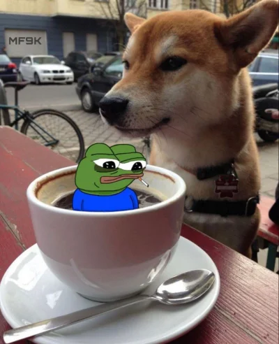 nieudacznikzyciowy - #przegryw 

huop wstał eh