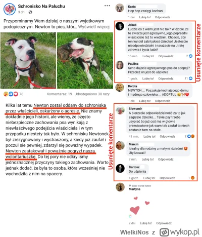 WielkiNos - Schronisko na paluchu usuwa negatywne komentarze o pitbullach.

Nie dość,...