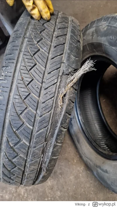 Viking- - @Wilczak Ło panie! No to tez bym chyba nie ryzykował, a w najgorszym wypadk...