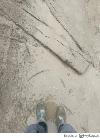 Kref3x - #przegryw robisz w bagnie chuop