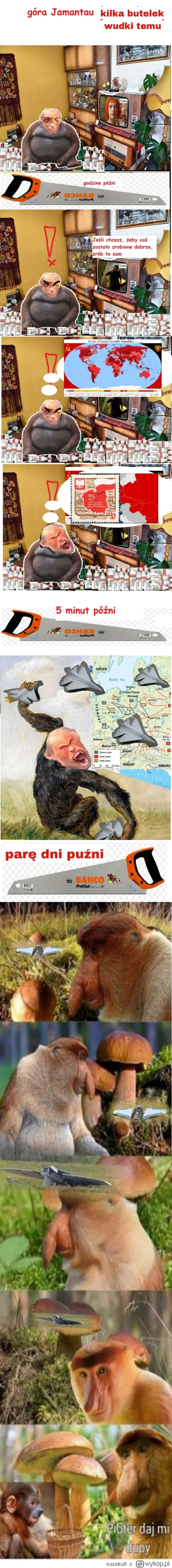 suzaku0 - #konkursnanajbardziejgownianymemznosaczem