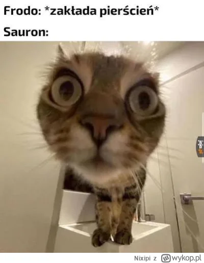 Nixipi - #wladcapierscieni