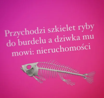 paczelok - #divyzwykopem