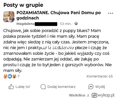 WielkiNos - Tak sobie właśnie wyobrażam posiadanie psa gdy się nie zaklina rzeczywist...