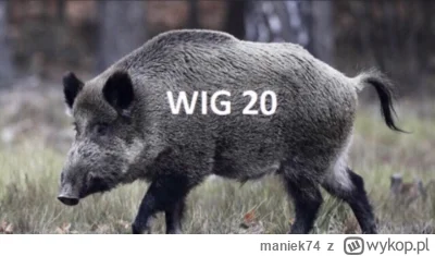 maniek74 - #gielda

dawno nie było ( ͡° ͜ʖ ͡°)