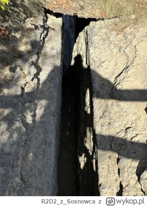 R2D2zSosnowca - @R2D2zSosnowca tak wygląda wejście na szlak ʕ•ᴥ•ʔ