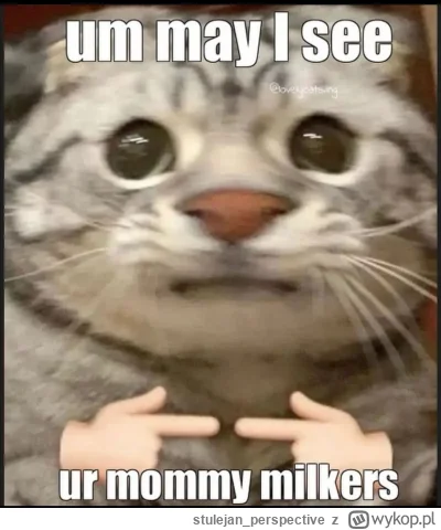 stulejan_perspective