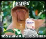 ada_lovelace - #konkursnanajbardziejgownianymemznosaczem