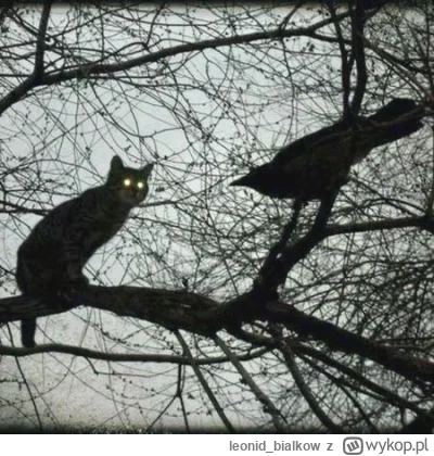 leonidbialkow - @CorvusFrugilagus: cze dla ciebie latajoncy