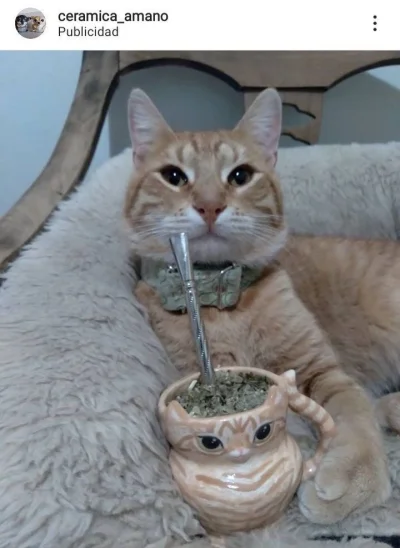 wybryk_natury - #zlodziejskiewybryki