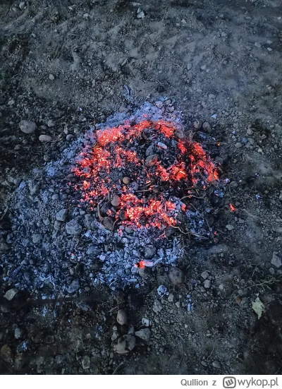 Qullion - @Qullion: pojedliśmy, popiliśmy piwko, porzucaliśmy ziemniakami dookoła. Fa...