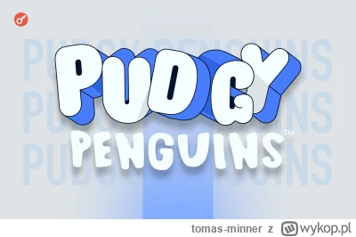 tomas-minner - Kolekcja NFT Pudgy Penguins na drugim miejscu pod względem kapitalizac...