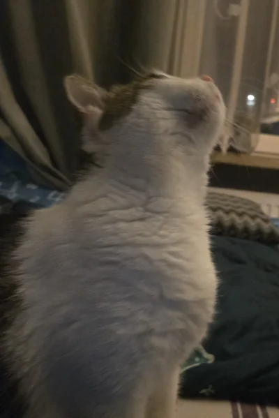 Solsith - @Zeddicullus: jak S czy A to można się naciąć ale na normalnej, krajowej np...