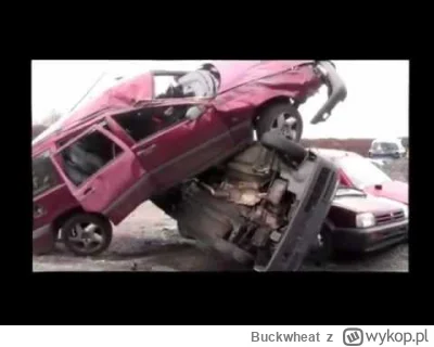 Buckwheat - @jegertilbake: