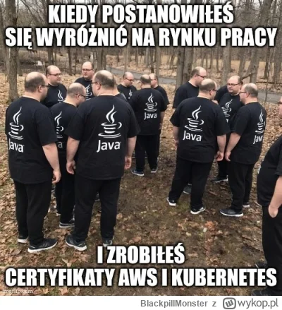 BlackpillMonster - #programista15k #programowanie #pracait #korposwiat