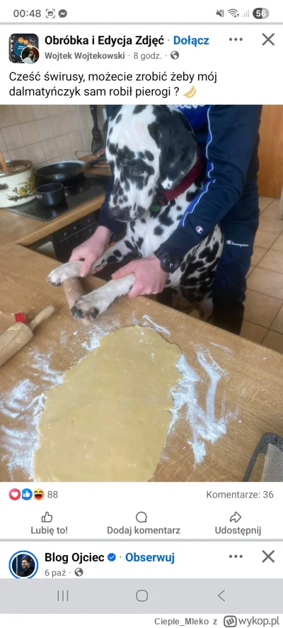 Cieple_Mleko - #psiarze Dom typowego psiarza. Dlatego do nich nie chodzę ( ͡° ʖ̯ ͡°).