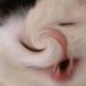 Timer_555 - WIR ŚMIERDZIELU

#konkursnanajbardziejgownianymemznosaczem