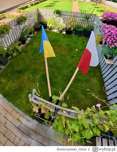 Biebrzanski_Ghul - Wszystkiego dobrego, sąsiedzi!
З Днем Незалежності!
#ukraina