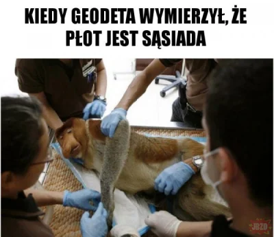 maxx92 - #sąsiad #polak #nosacz #heheszki #humor #humorobrazkowy #geodezja #geodeta