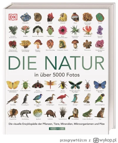 przegryw162cm - @LostHoldenCaulfield: @Eteres 
 Lepiej mieć 5 przystojnych typów na c...