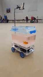 wfyokyga - Pojazd z rybom