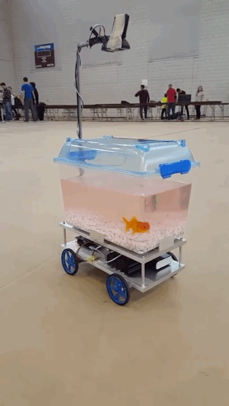 wfyokyga - Pojazd z rybom