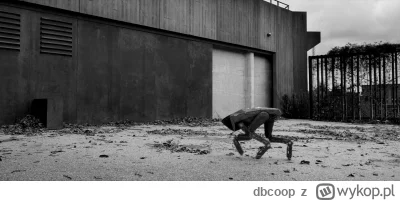 dbcoop - Coraz bliżej: