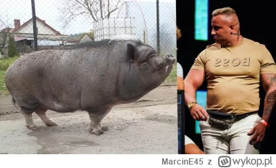 MarcinE45 - tez widzicie podobienstwo czy tylko ja jestem pi3rdolniety 
#famemma