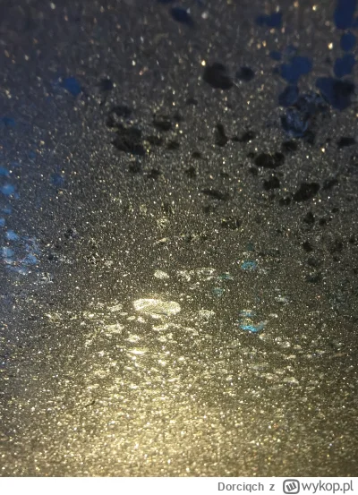 Dorciqch - Dzieńdoberek #szczecin 
Przymrozki dzisiaj troszkę. Weźcie poprawkę na skr...