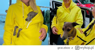 graczboo - Nie rozumiem tego fenomenu ( ͡º ͜ʖ͡º)
#psiecko #heheszki