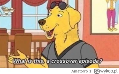 Amatorro - @popularny_polityk: