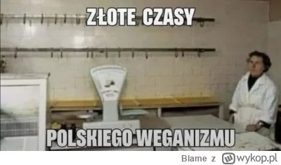 Blame - #kononowicz #patostreamy