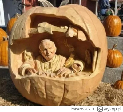 robert5502 - Dynia która została papieżem polakiem 
#wykopobrazapapieza #haloween #be...