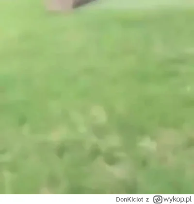 D.....t - Zmiotło chłopa z planszy